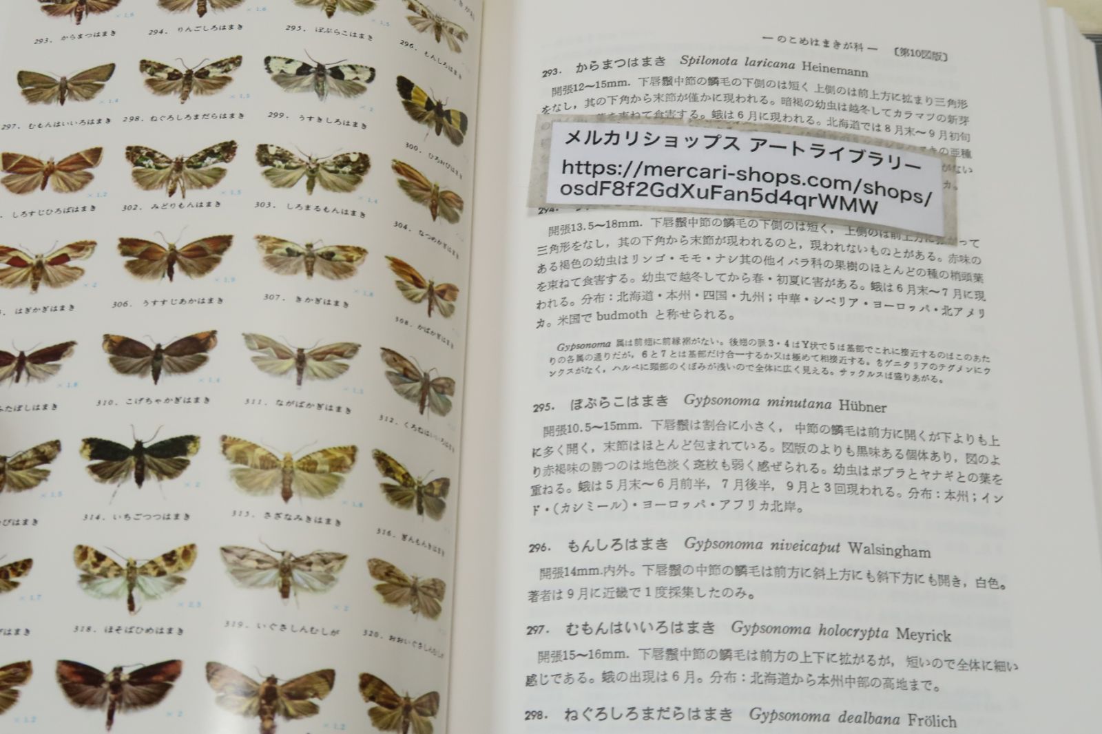 原色日本蛾類図鑑　上下セット 改訂新版】 原色日本蛾類図鑑 (上・下)(江崎悌三 ほか共著