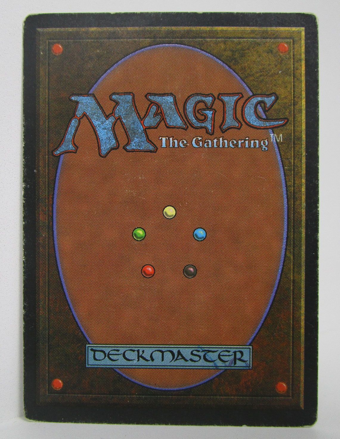 mtg 吹きさらしの荒野 日本語3 英語版1 mtg 吹きさらしの荒野 日本語