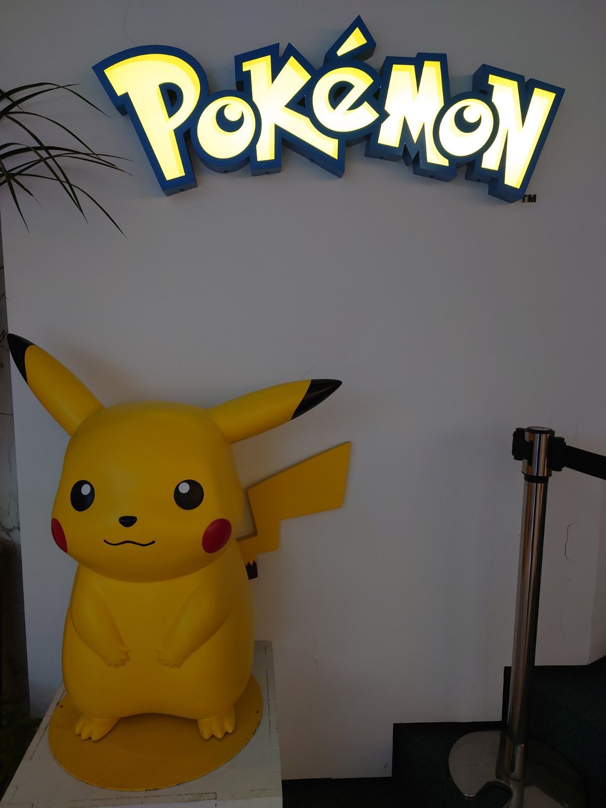 韓国限定 カビゴンプレイマット 1枚 ポケモンセンター ポケモン