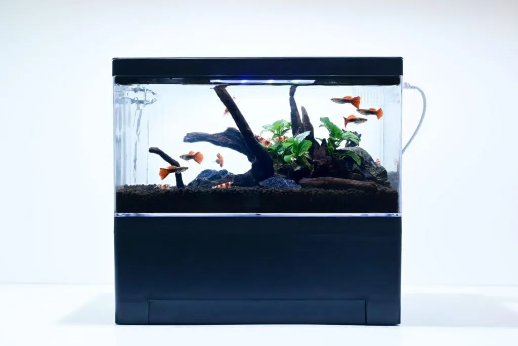 アクアシステム クリスティプレーン1520 ベタ飼育セット　おまけ付き アクアシステム クリスティプレーン1520 ベタ飼育セット おまけ付き