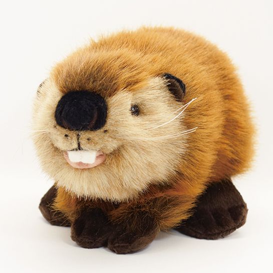 陸のぬいぐるみ ビーバー ぬいぐるみ Sサイズ 吉徳 動物園