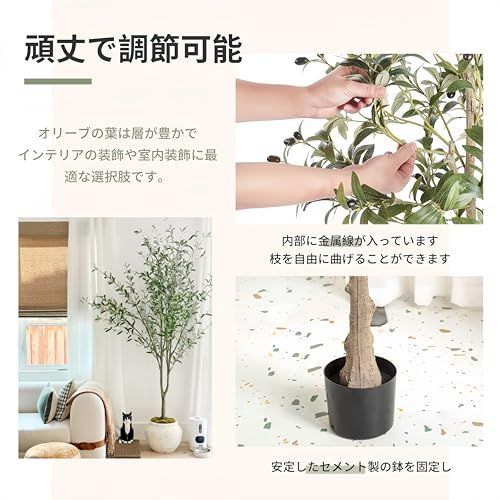 リビングルーム 庭