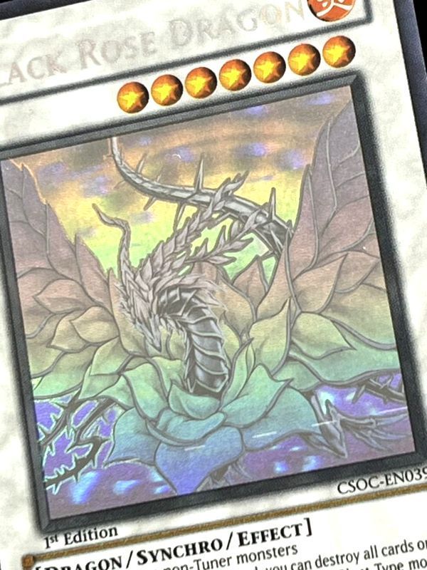 遊戯王 英語 北米版 ブラック・ローズ・ドラゴン ホロ