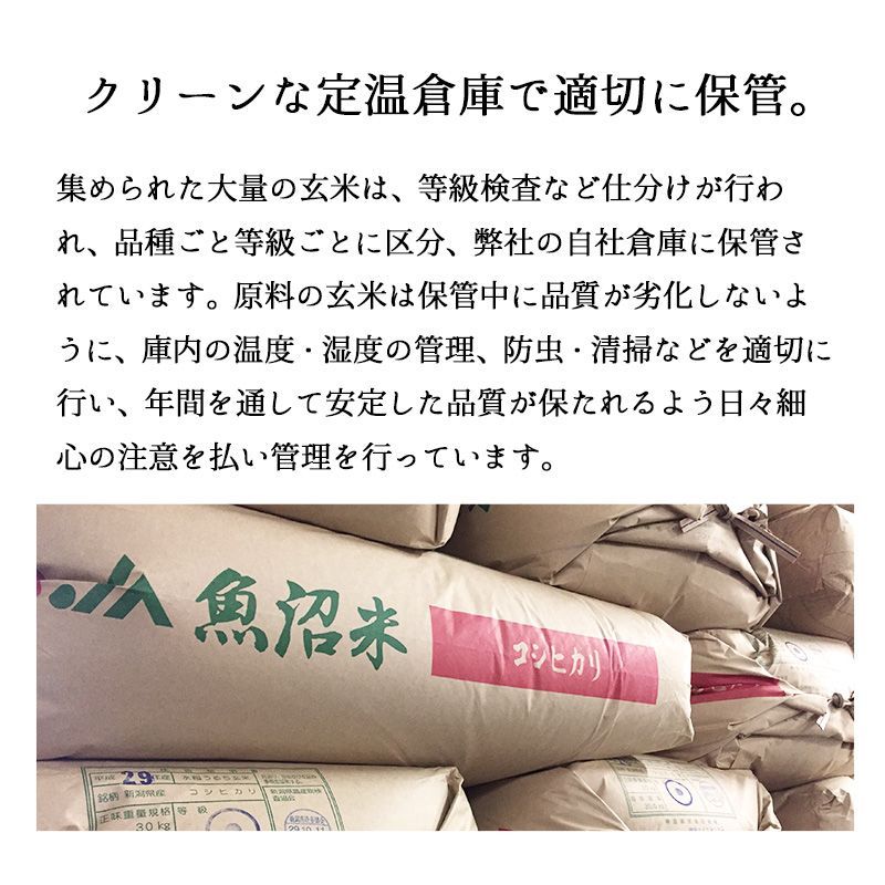 新米 魚沼産コシヒカリ10kg お米 令和6年産 白米