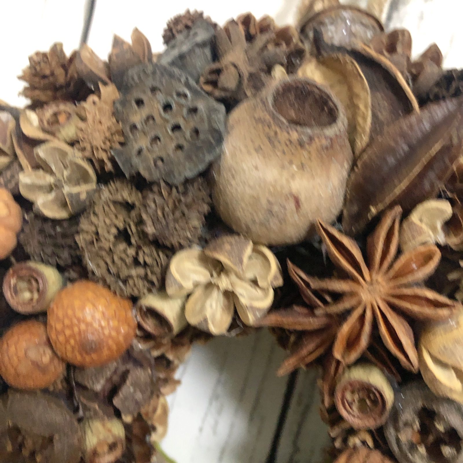 20cm 木の実のリース クリスマス ドライフラワーリース クリスマス