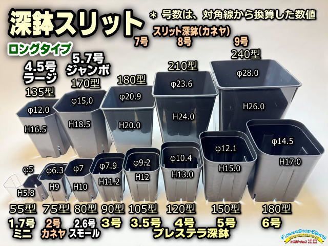 #平日＊日中注文即日発送-1.7号ミニスリット深鉢55型(スリット鉢)★高機能ミニプラ鉢(直径φ5(対角5.5))：黒・半透明(クリアー)・混色10鉢セット＠フラワーショップ江口