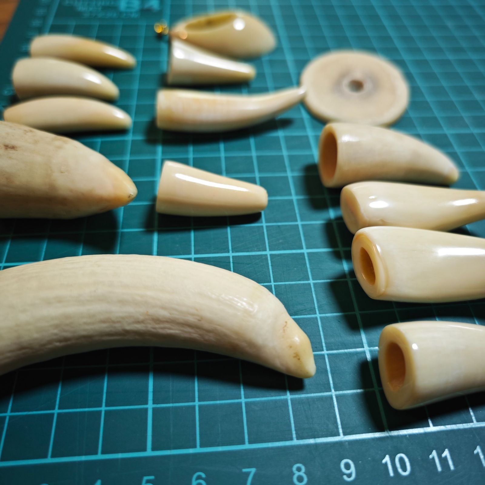 特大】鯨歯マッコウクジラ約500g竹に虎象牙質希少
