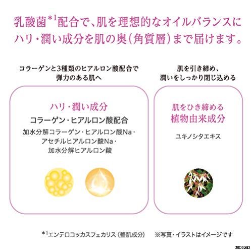 乳酸菌メーカー
