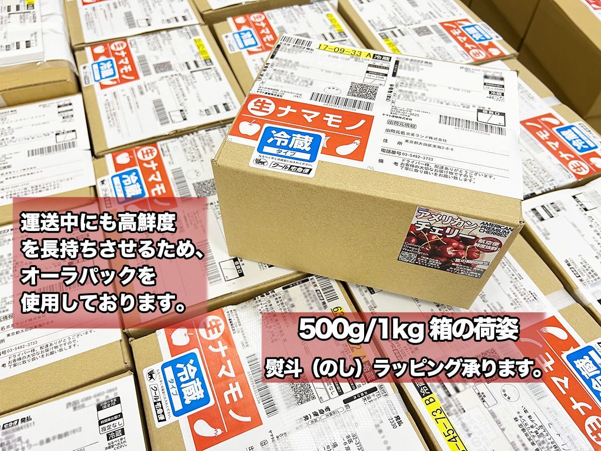 鮮度保持袋入