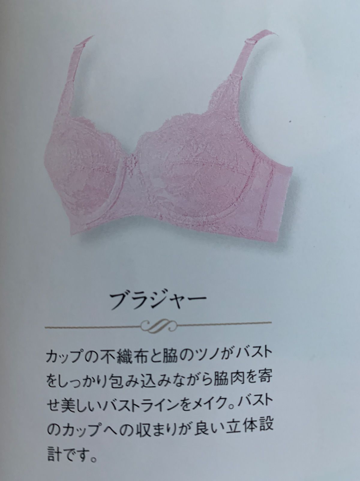 シャンデールピエゾベルピオニーブラジャーD85