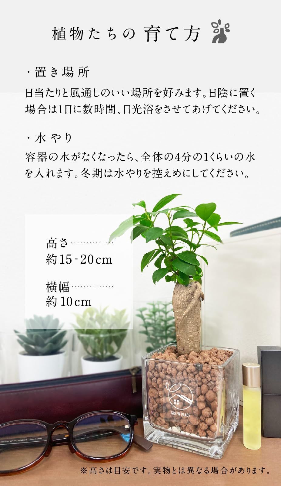 本物