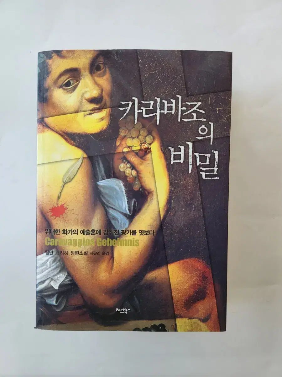 カラヴァッジョの 覆面 小説です