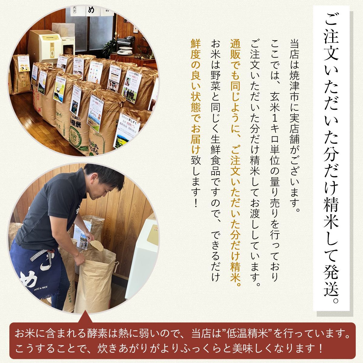 令和7年産 新米 農薬5割減 特別栽培米 こしひかり コシヒカリ 10kg