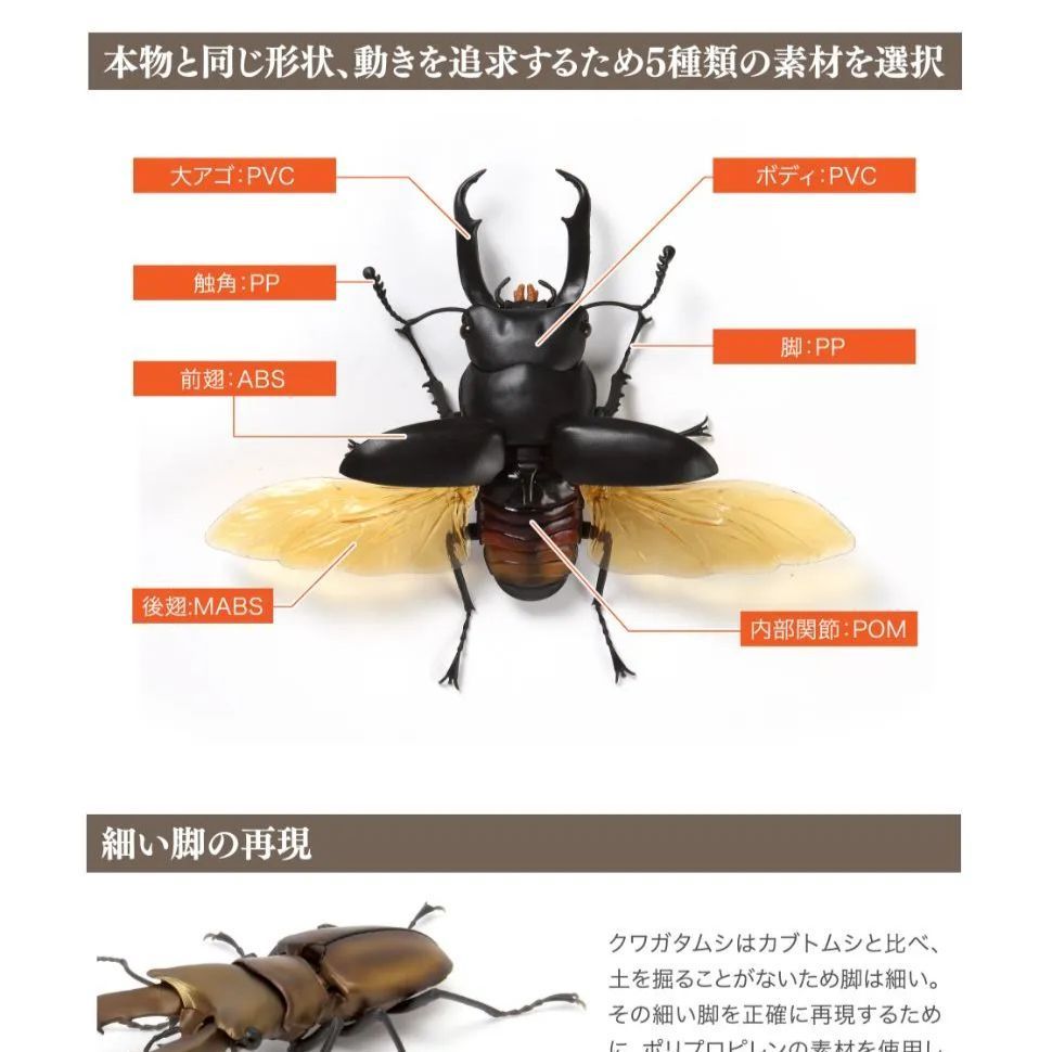 バンダイいきもの大図鑑くわがた04タランドゥスオオツヤクワガタ