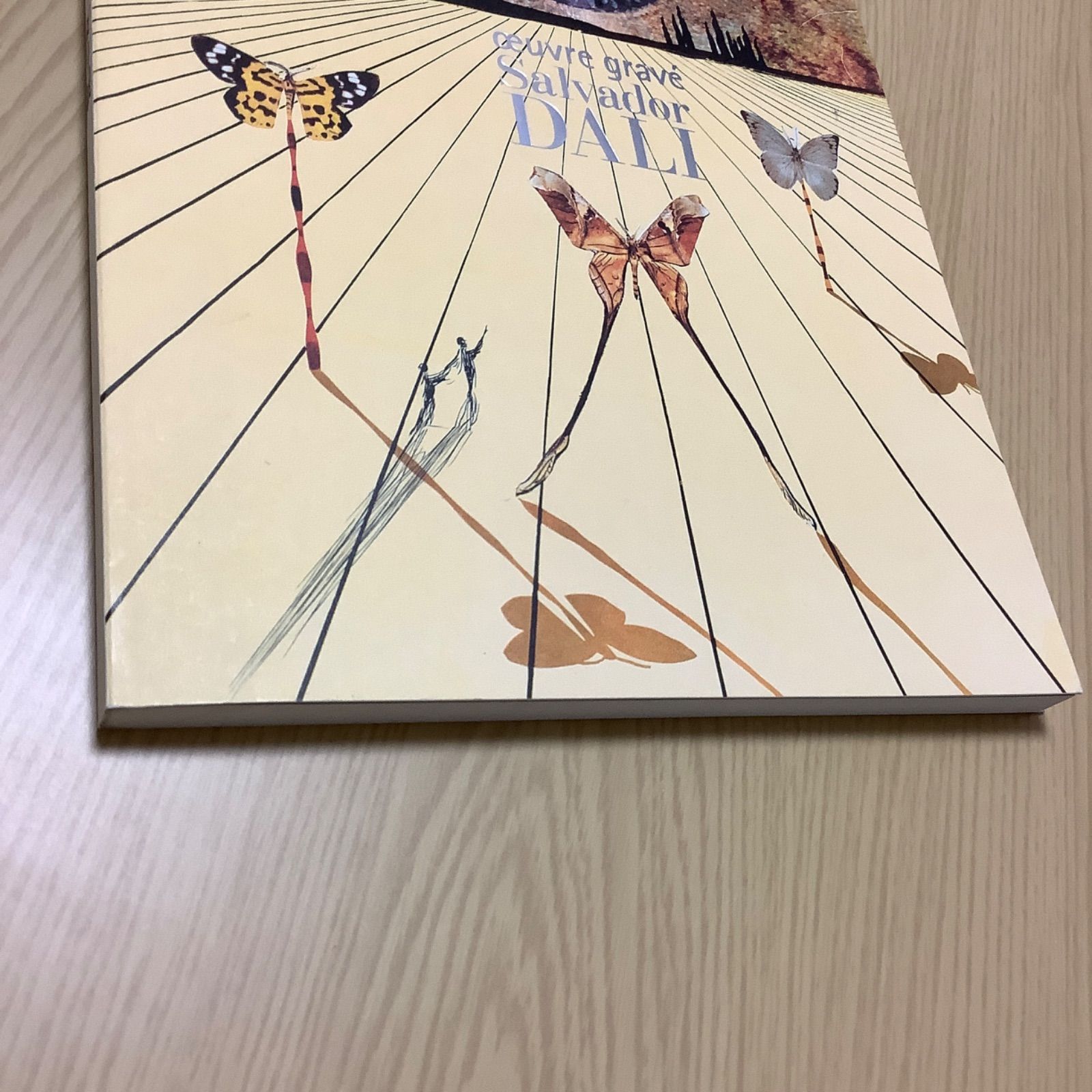 【希少！】【会場限定】ダリ版画展公式図録 ダリ 版画展 会場限定販売 公式図録 シュルレアリスム《柔らかい