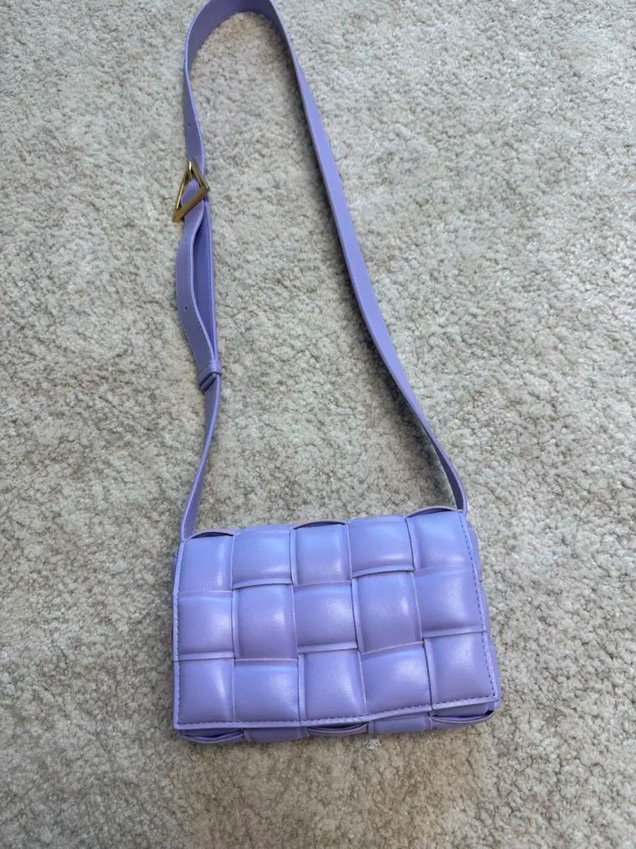 ボッテガ ヴェネタ ダウンバッグ スモール