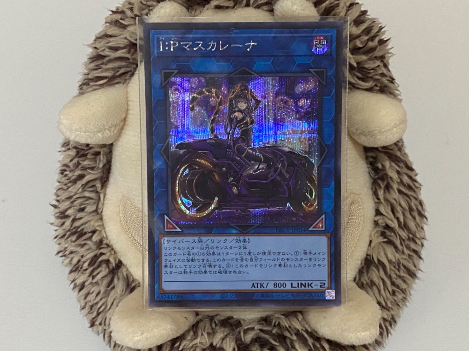 遊戯王 - 遊戯王 マスカレーナ 絵違い シークレット セット ツ*す様 遊戯王 マスカレーナ 絵違い 25th シークレット ②