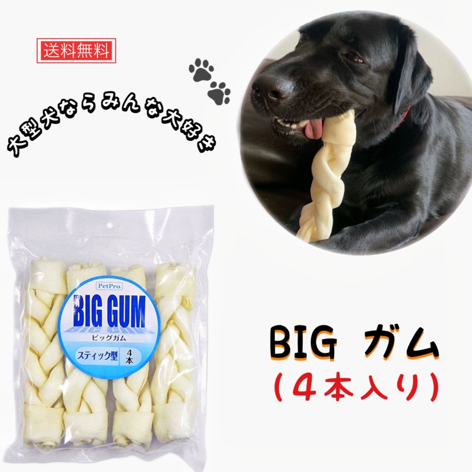 ペットプロジャパン] ペットプロ BIGガム スティック型 4本入数10 【10