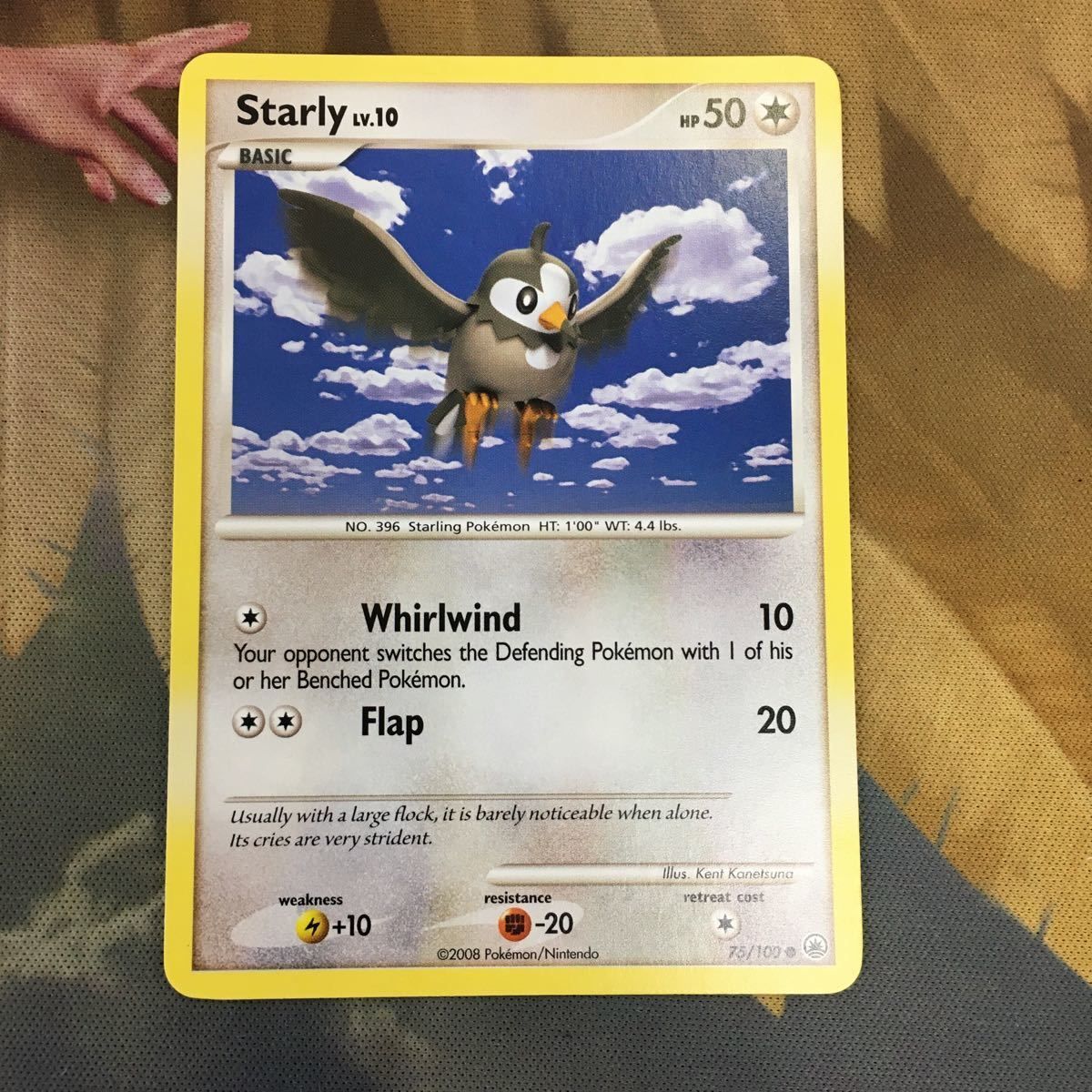 ムクバード　ポケモンカード　英語　トレーディングカード ムクバード | ポケモンカードゲーム公式ホームページ