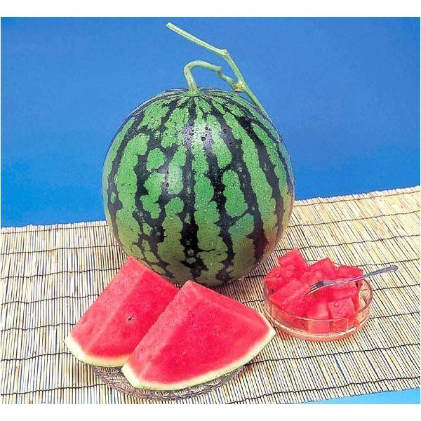 スイカ 熊本県産 1箱 2Lサイズ・7kg(×2玉セット・合計14kg) 高級