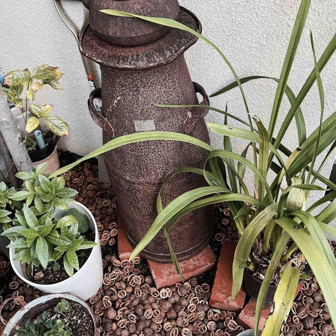 2025年12月より値上致します⭐️高評価商品⭐️【お試し商品2】鬼