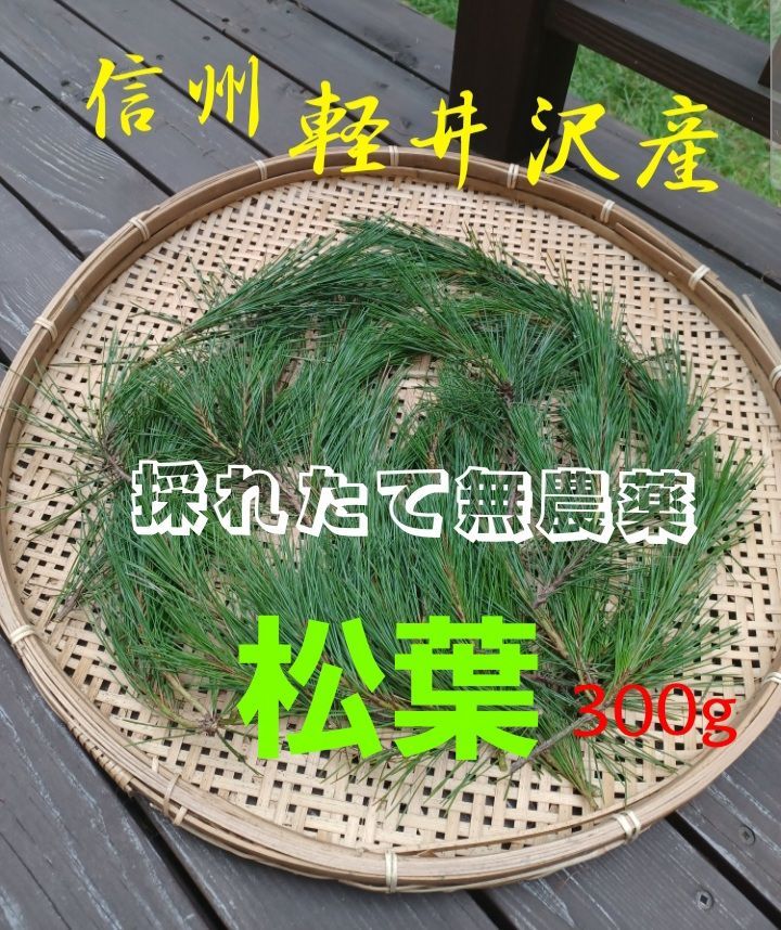 採れたて新鮮♪︎軽井沢産 天然無農薬 松葉 300g超-0