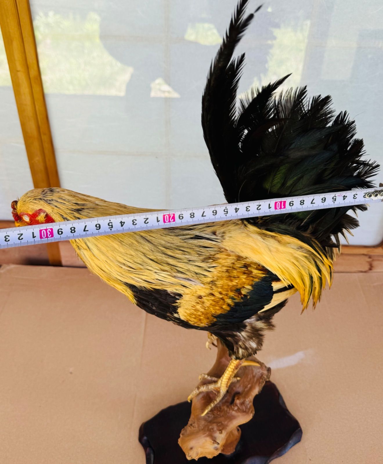 鳥二 メルカリ便 新品未開封】マツキヨ 尿とりパッド6回吸収 26枚入×2袋 - メルカリ