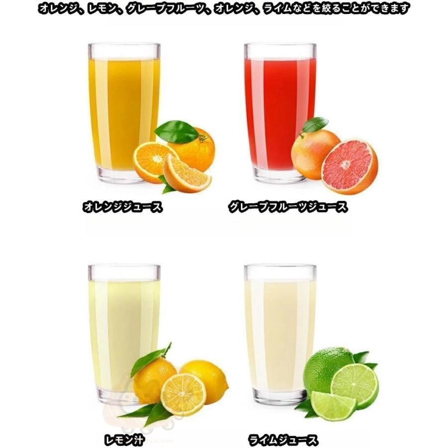 フルーツ ナシ
