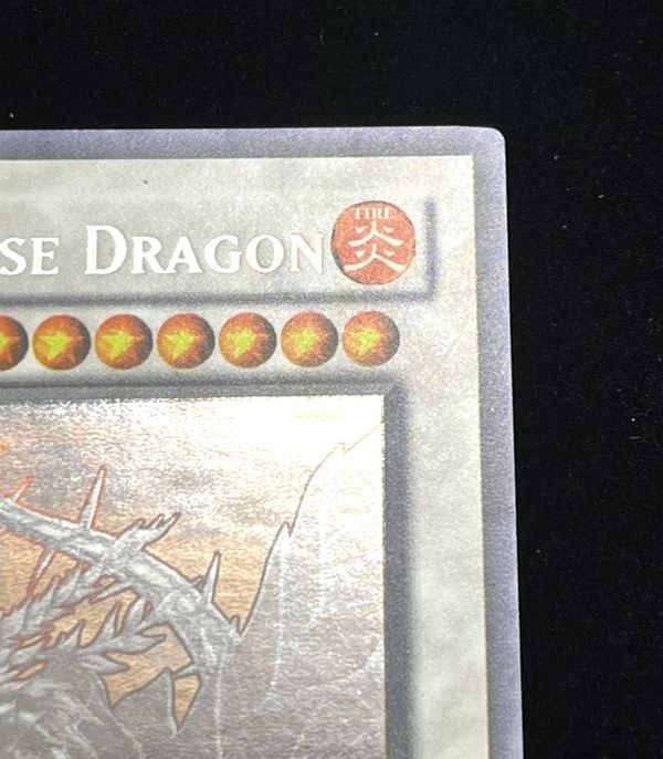 ローズ ドラゴン