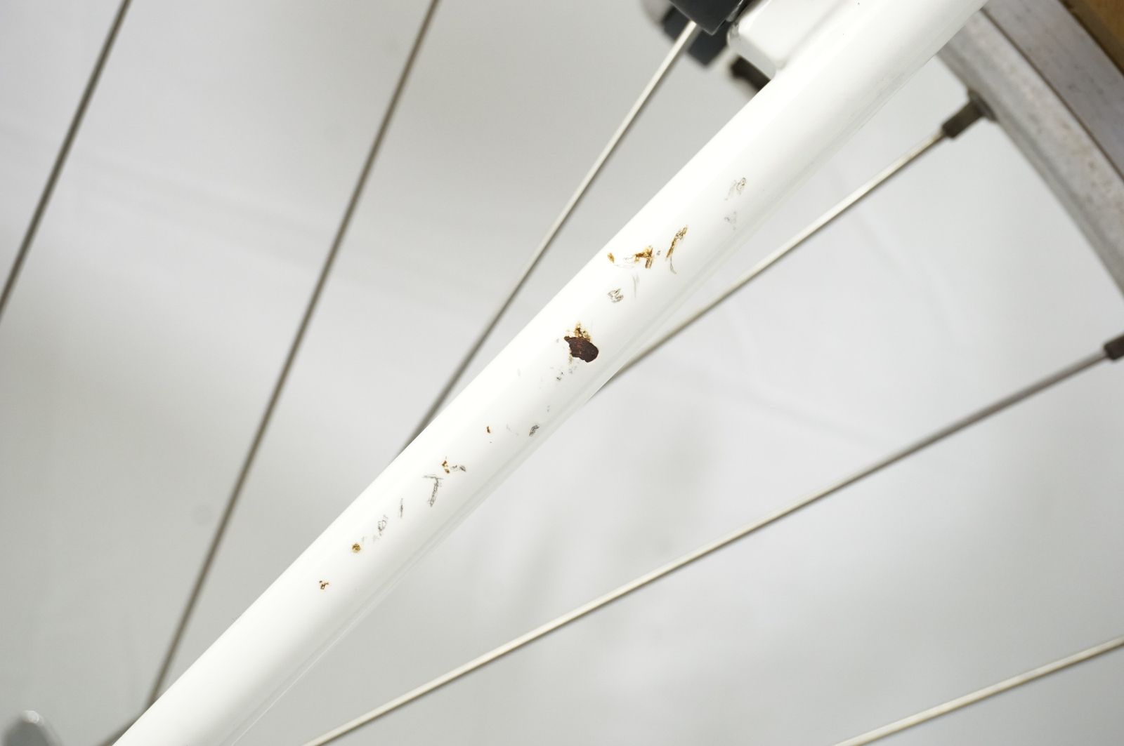 ランドナー バイチャリ宇都宮店