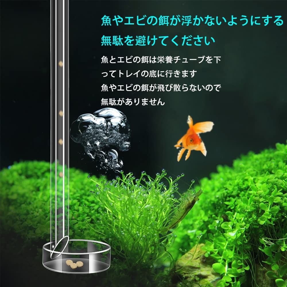 大人気】WanFengXue 給餌皿 水槽セット エビ餌 トレイ チューブ 透明