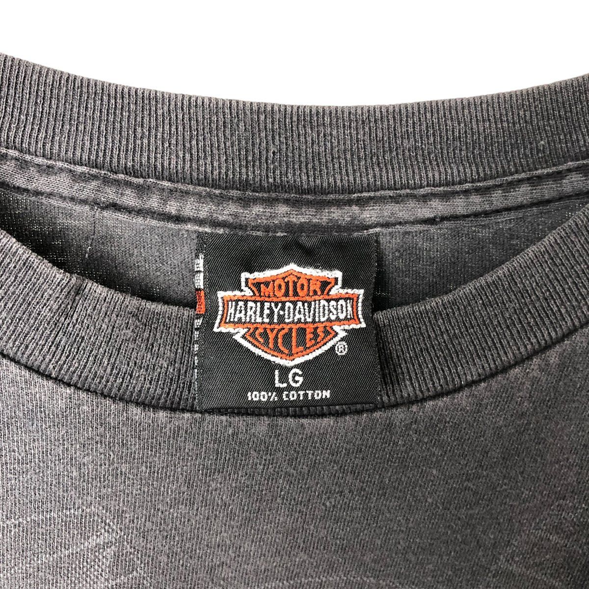 Harley-Davidson エンジン