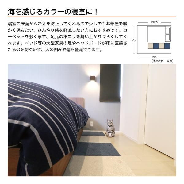 ネコ ペット対応