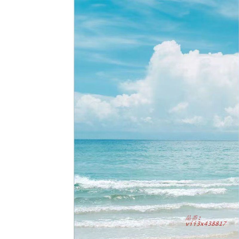 窓用フィルム 窓ガラスフィルム 窓 めかくしシート ガラスフィルム 目隠しシート おしゃれ浴室 風呂 ステッカー 玄関目隠し 水で貼る  vii3x438817