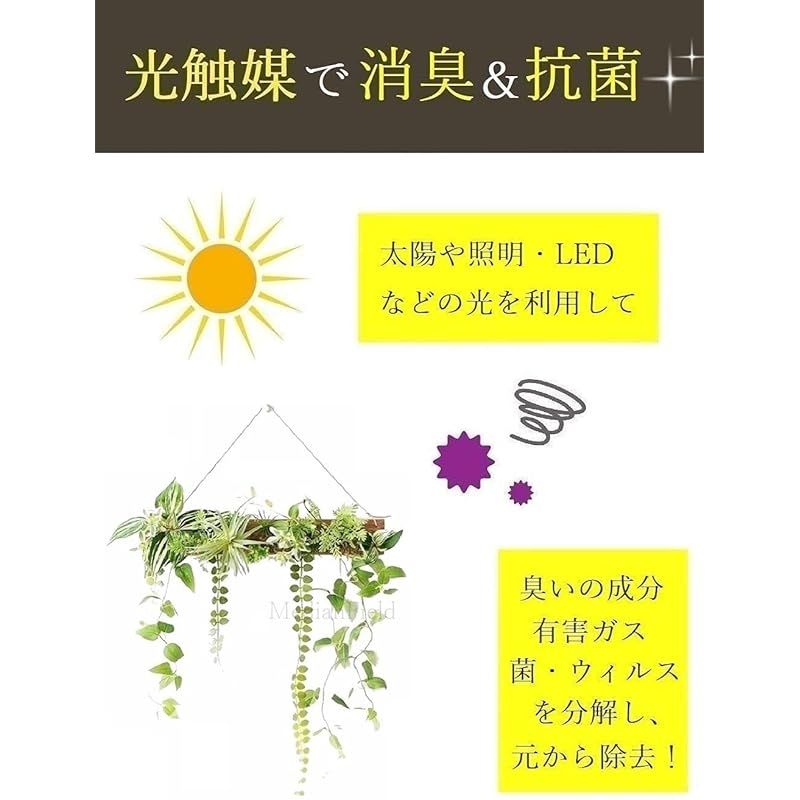 MedianField 【 観葉植物 光触媒 消臭 ＆ 抗菌 ウォールグリーン 】 フェイクグリーン 壁掛け 50cm×40cm フック付き 造花 フェイク おしゃれ 人工観葉植物 エアープランツ 室内 大型 フレーム イン 光触媒 観葉植物 MedianField セ 抗菌消臭 横長
