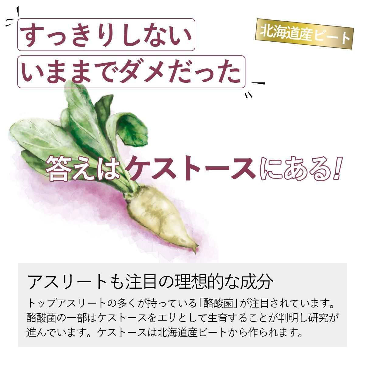 【ケストースパウダー100ｇ】国産北海道ビート糖（てんさい糖）使用 粉末タイプ-2
