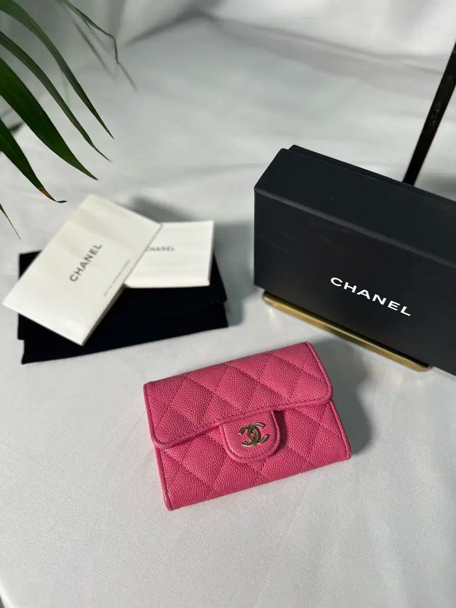 Chanel シャネル クラシック スナップボタン 金具 ピンク カードウォレット