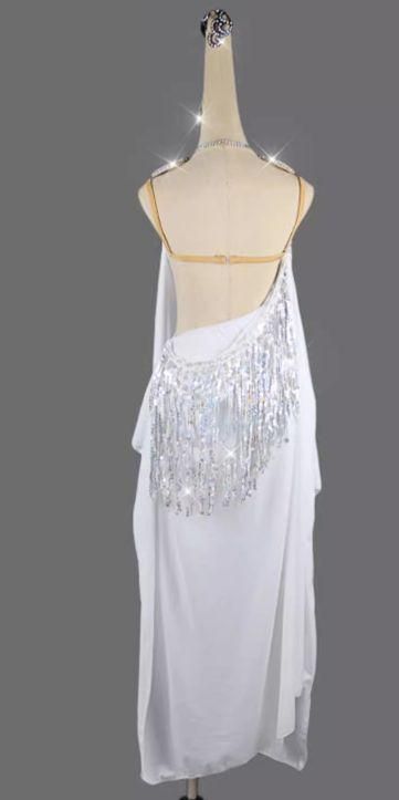 社交ダンスドレス スタンダードドレス デモ用 ルンバ オーダーメイド