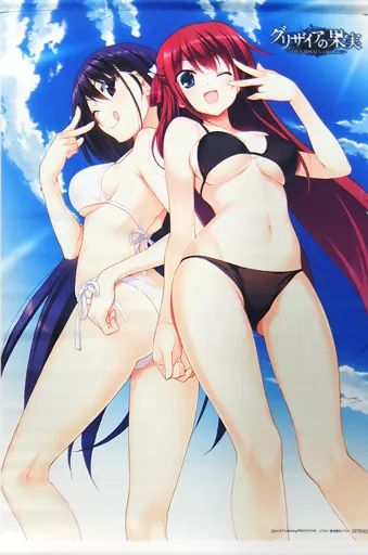 新作登場，最新作 【中古】タペストリー 榊由美子＆周防天音 B2タペストリー 「Switchソフト グリザイアの果実・迷宮・楽園」 ソフマップ購入特典 タペストリー
