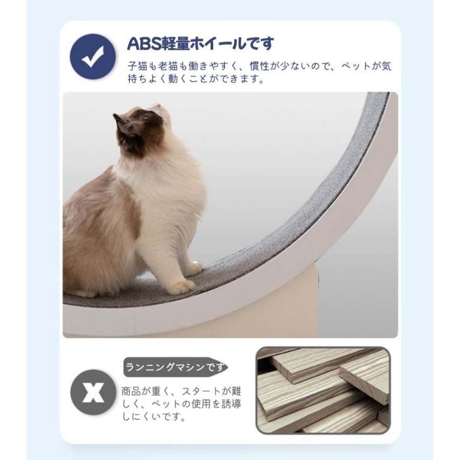 猫 キャットエクササイズホイール