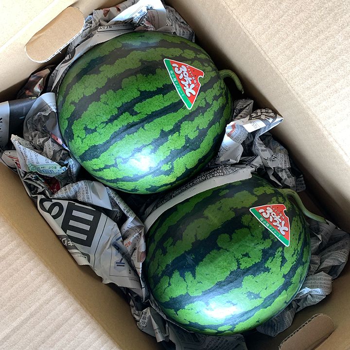 食品 ぷちっと 極小種ナノシード スイカ 一箱10kg以上