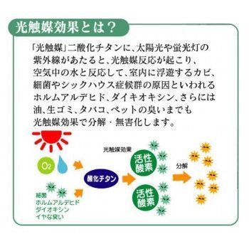 マグネットタイプ