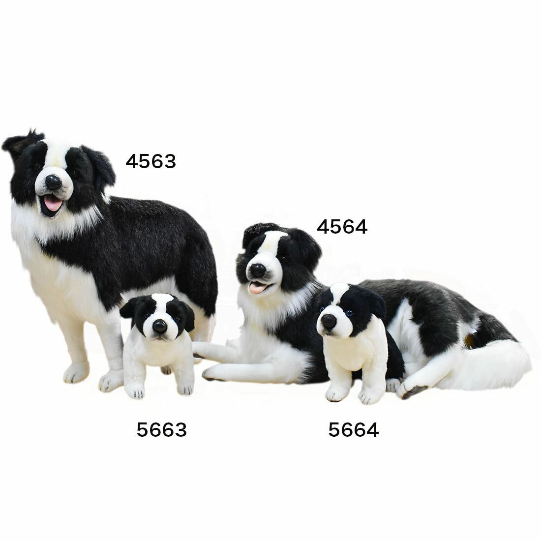 HANSA 5664 ボーダーコリー(コ)35 全長：35cm BORDER COL BH5664 