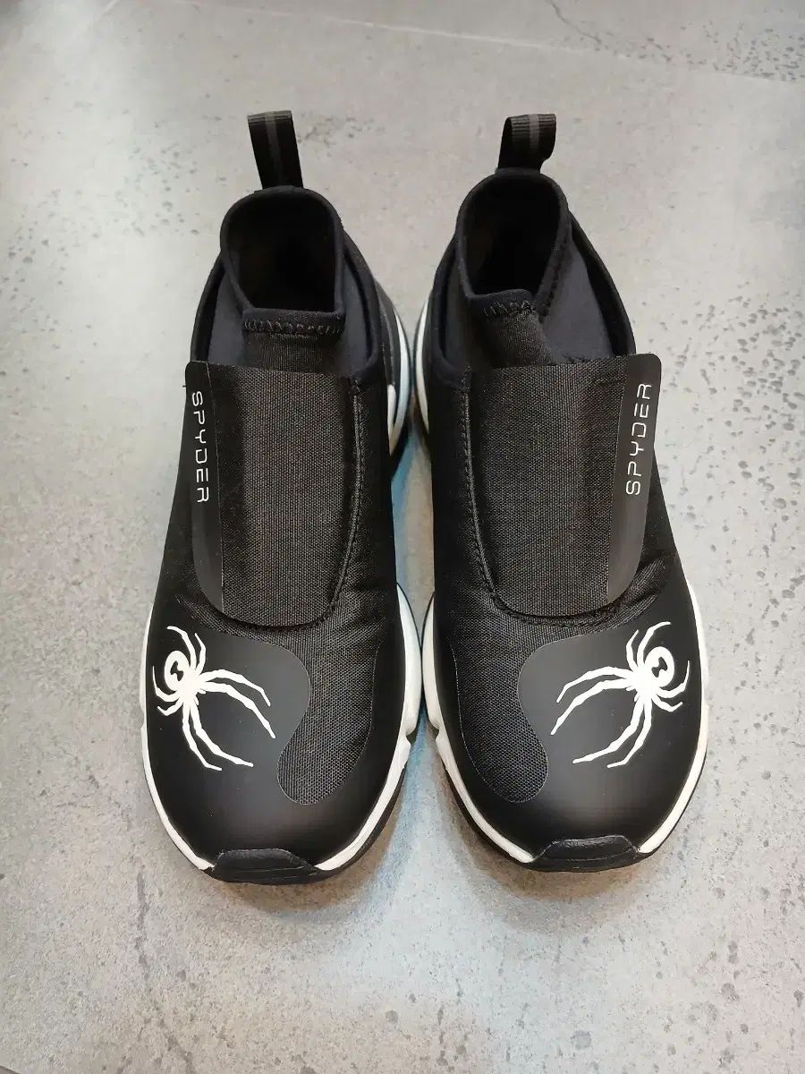 スパイダー