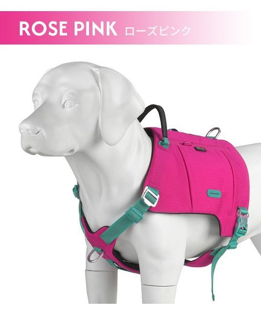 かわいい