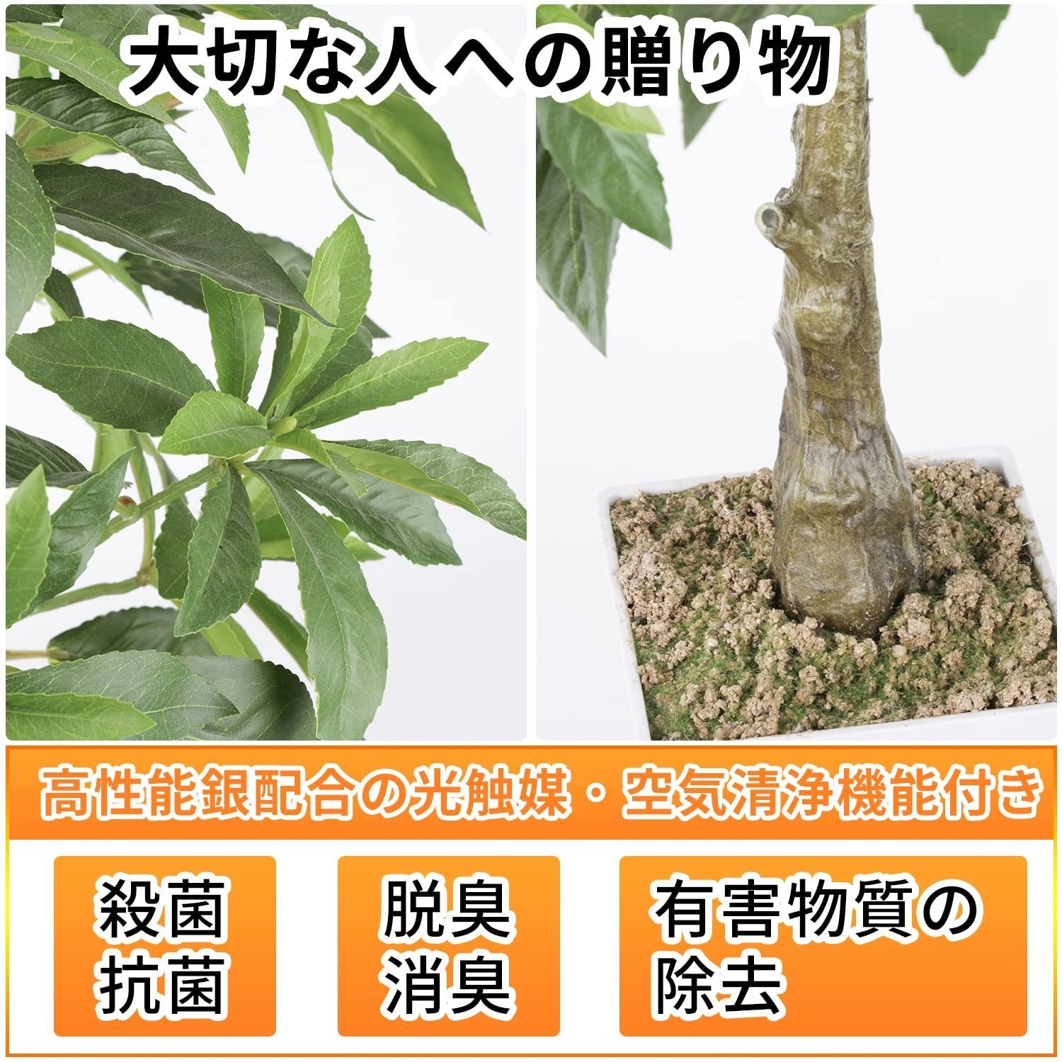 数量 おしゃれ