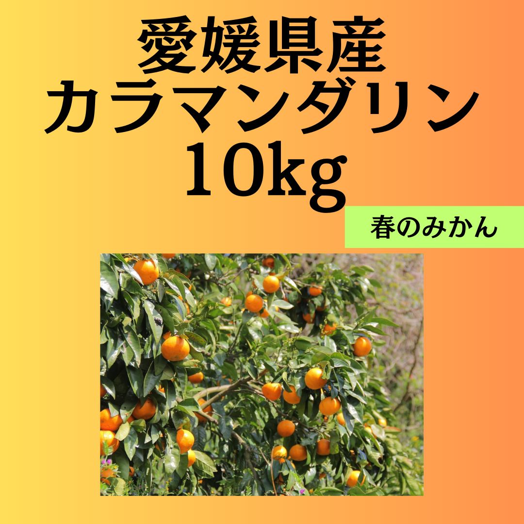 春みかん カラマンダリン10kg