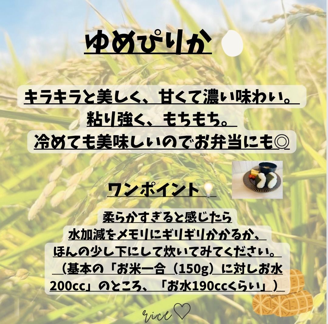 お得🌾《新米》⭐️1等米⭐️令和6年度 北海道産 ゆめぴりか （10kg×2袋） 20kg なかがわ農園 米 お米 白米 北海道米 農家直送 -  メルカリ