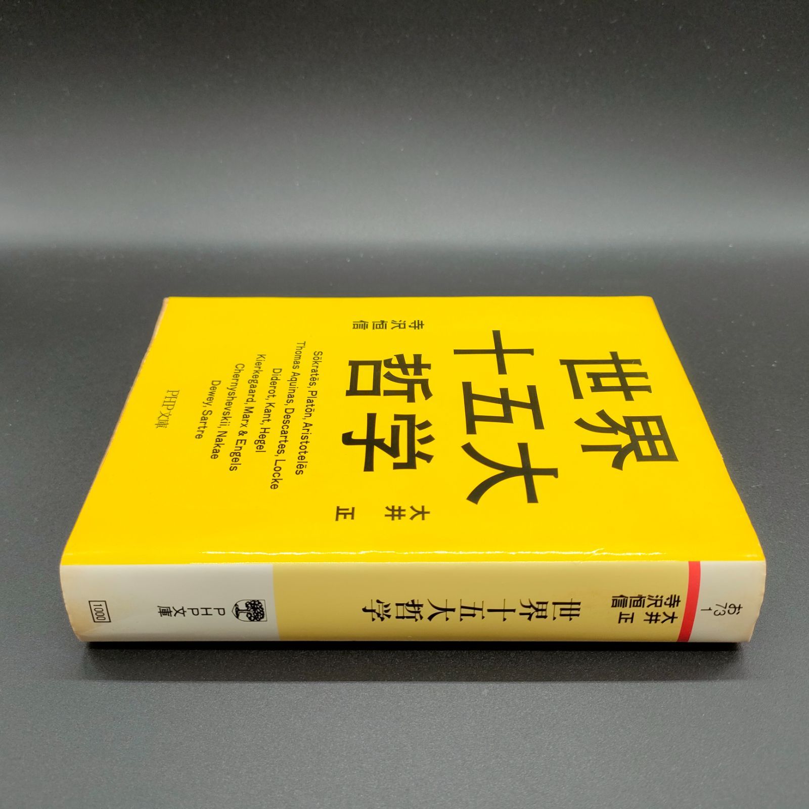 哲学][入門] 世界十五大哲学 (PHP文庫) 大井 正 (著), 寺沢 恒信 (著