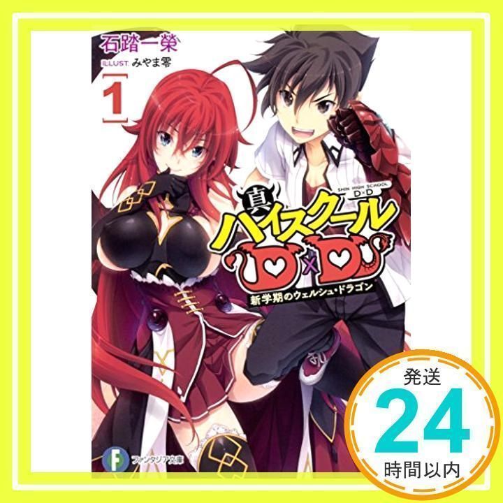 ハイスクールD×D 全40巻セット 石踏 一榮 / みやま 零 ライトノベル Amazon.co.jp: 真ハイスクールD×D ライトノベル 1-4巻セット